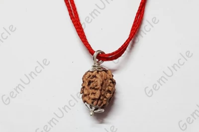 3 Mukhi Rudraksha Pendant