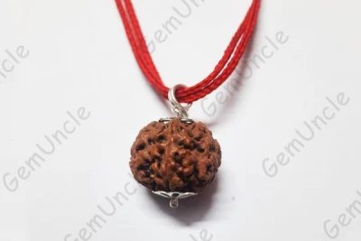 5 Mukhi Rudraksha Pendant