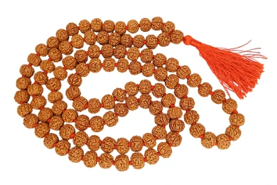 6 Mukhi Rudraksha Mala
