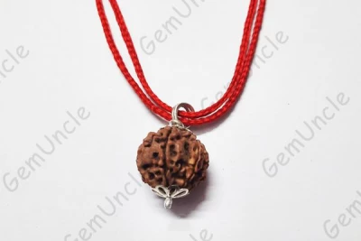 7 Mukhi Rudraksha Pendant