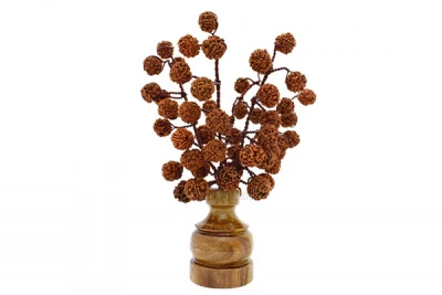 Good Luck Lord Shiva 5 Mukhi Rudraksha Tree