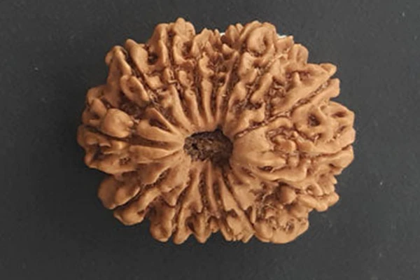 15 Mukhi Rudraksha Pendent