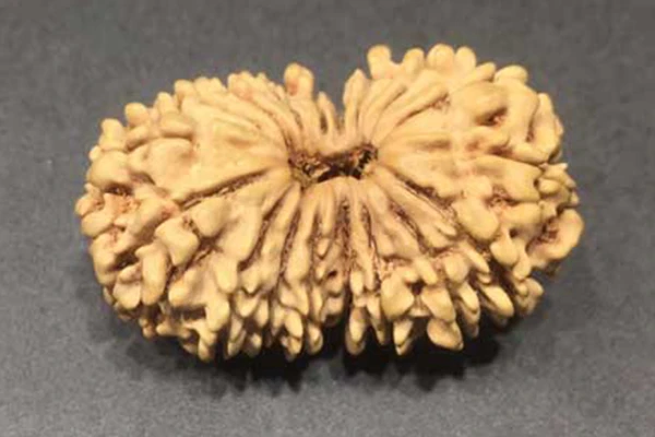 18 Mukhi Rudraksha Pendant