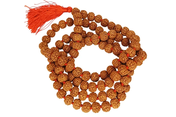 6 Face Rudraksha Mala