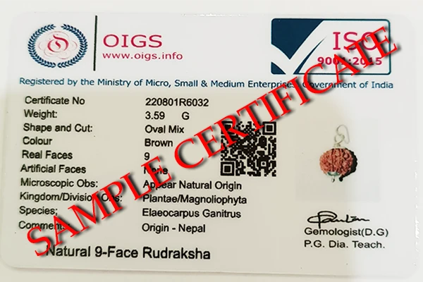 9 Mukhi Rudraksha Certification