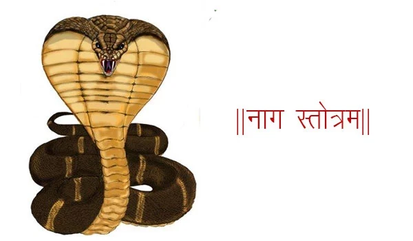 ॥नाग स्तोत्रम्॥