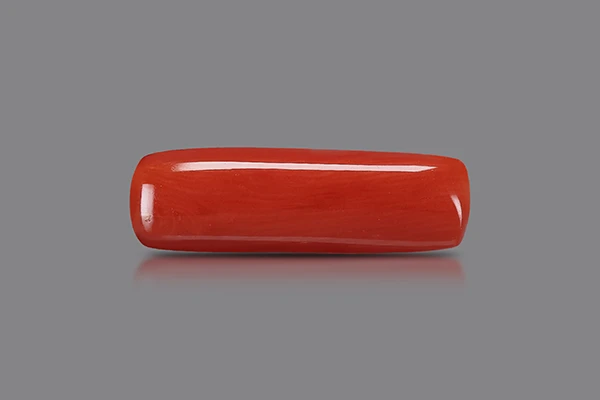 Red Coral Stone (Moonga Stone) Italy - 6.44 Ratti