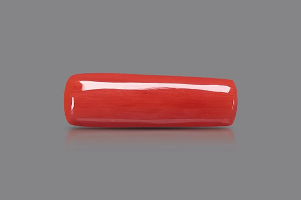 Red Coral Stone (Moonga Stone) Italy - 6.81 Ratti